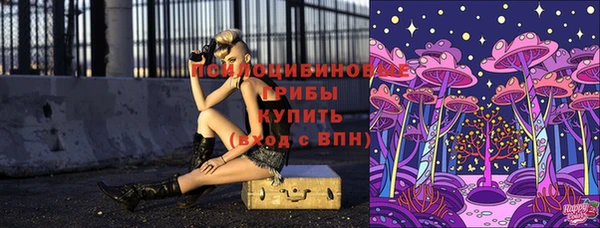 бошки Алексин