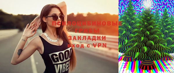 бошки Алексин