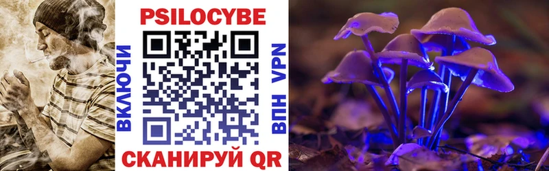 Галлюциногенные грибы Psilocybine cubensis  Стерлитамак 