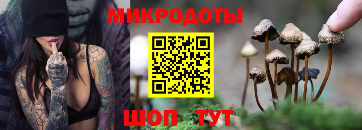 Стерлитамак  Псилоцибиновые грибы ЛСД  Вход с VPN 